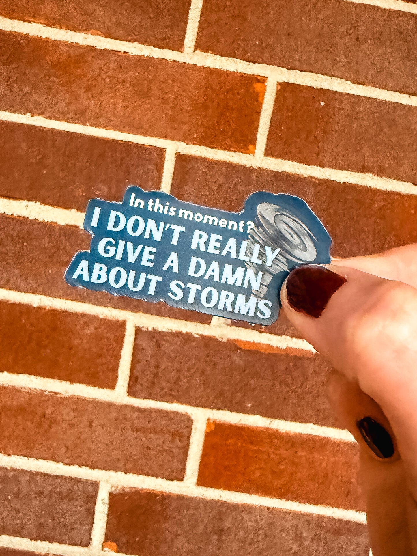 I Don't Really Give a Damn about Storms sticker | Officially Licensed by Heather Frances